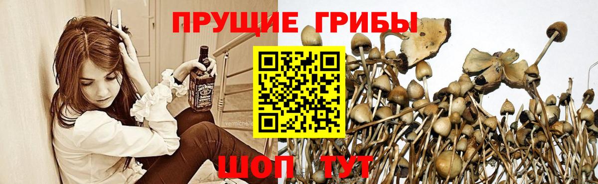 Псилоцибиновые грибы мухоморы Отрадный